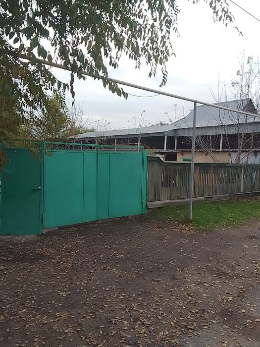 IPhoni  11 C гарантия