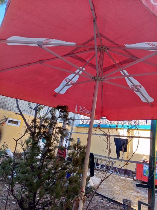 Kola zontik sotiladi