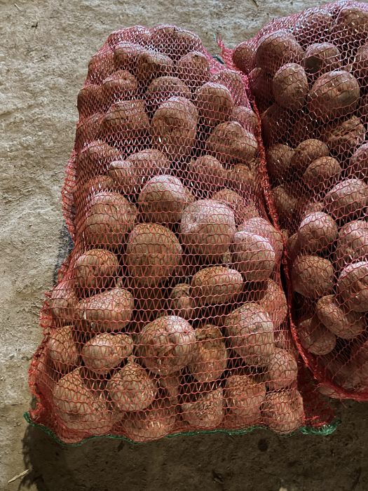 Cartofi  consum  Alb și Roșu (0,8 lei)