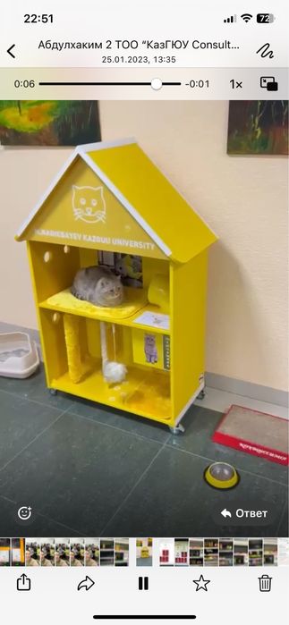 Домик для кошки игровая