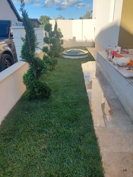 Amenajări grădini gazon și plante ornamentale