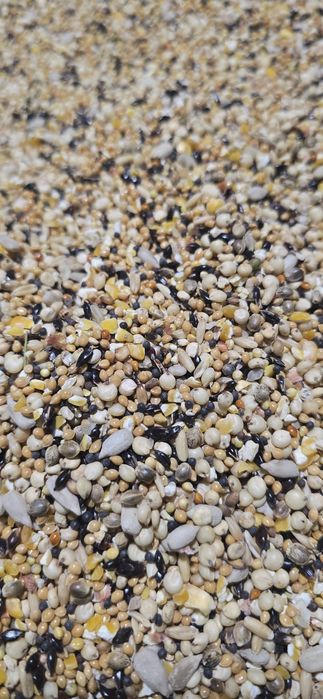 Корма и витамины для бедана