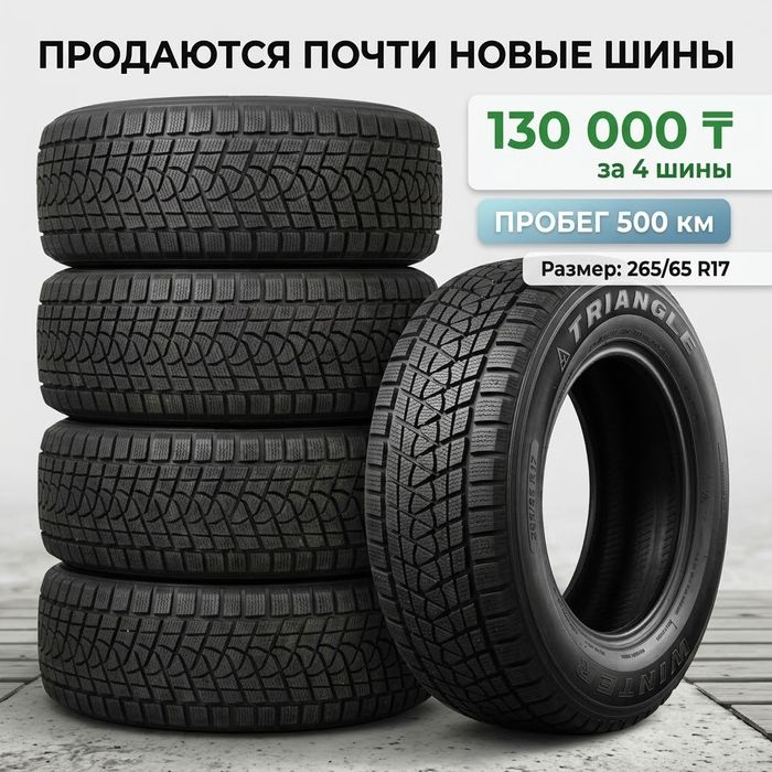 Зимние шины Triangle