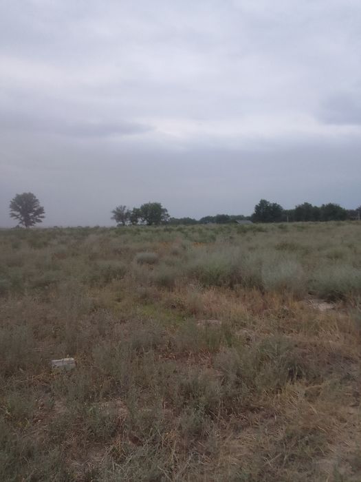 Срочно продам участок КХ 50соток