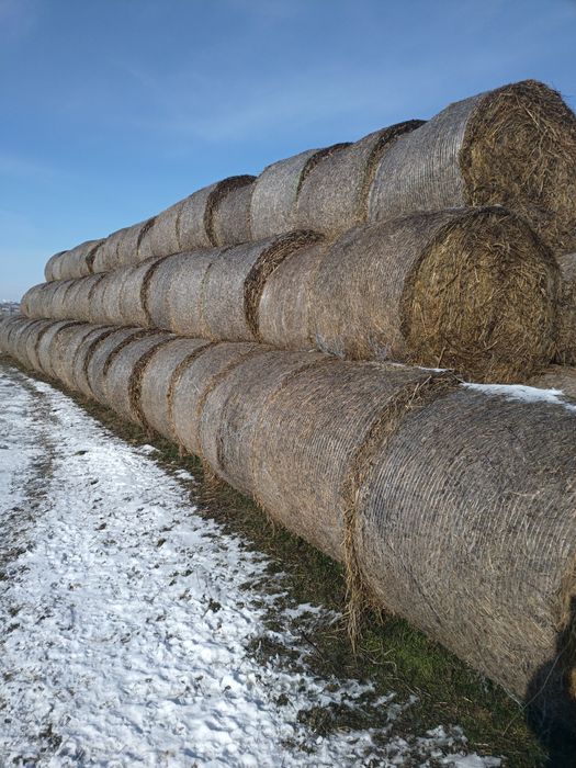 Baloți de fân și de paie
