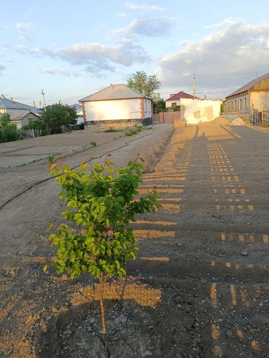 Жер үй  сатылады