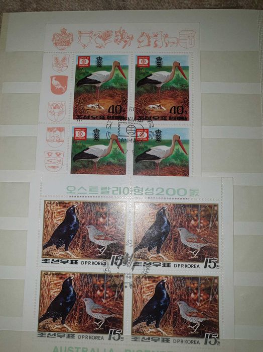 timbre belgia, colite Drp Korea, Ccp