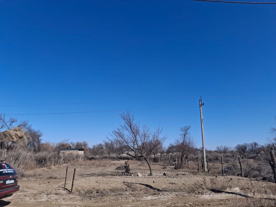 Жер сабалақ сатылады