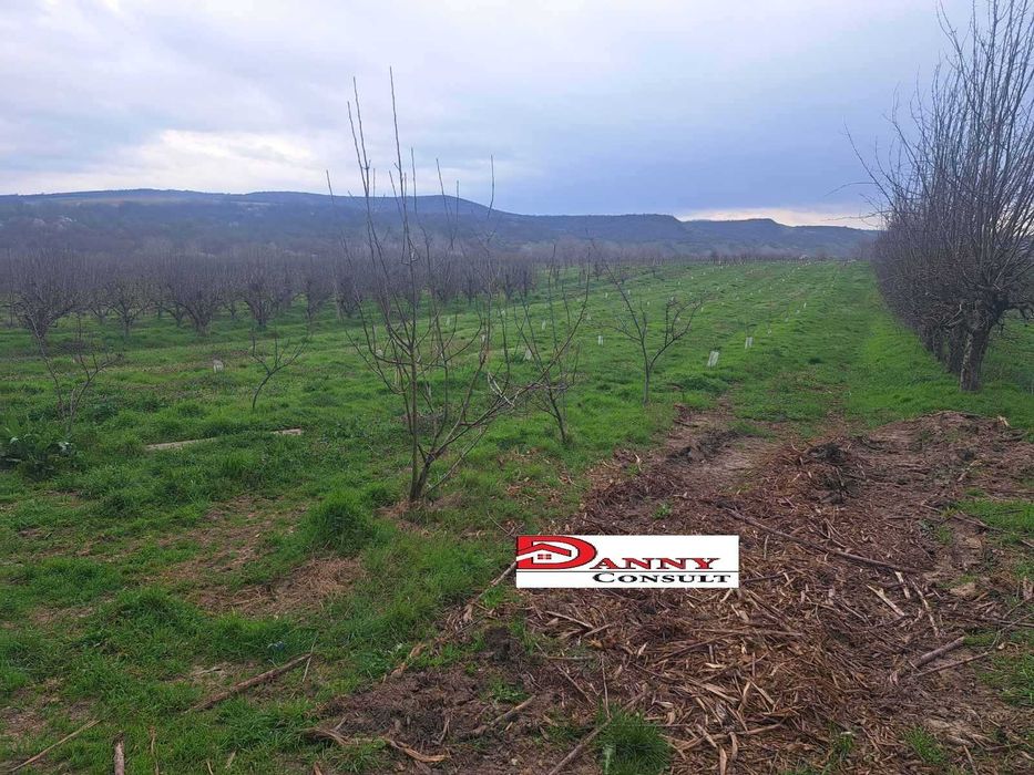 Продава се Земеделски имот в Велико Търново, Акация -  кв.м за 1836 €/дка - Снимка #2