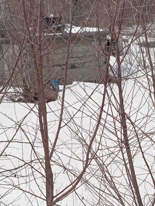 Продам дачу в п.Белоусовка