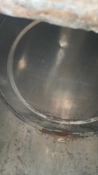 mo'rs bachok arzon narxda yoz kelmoqda