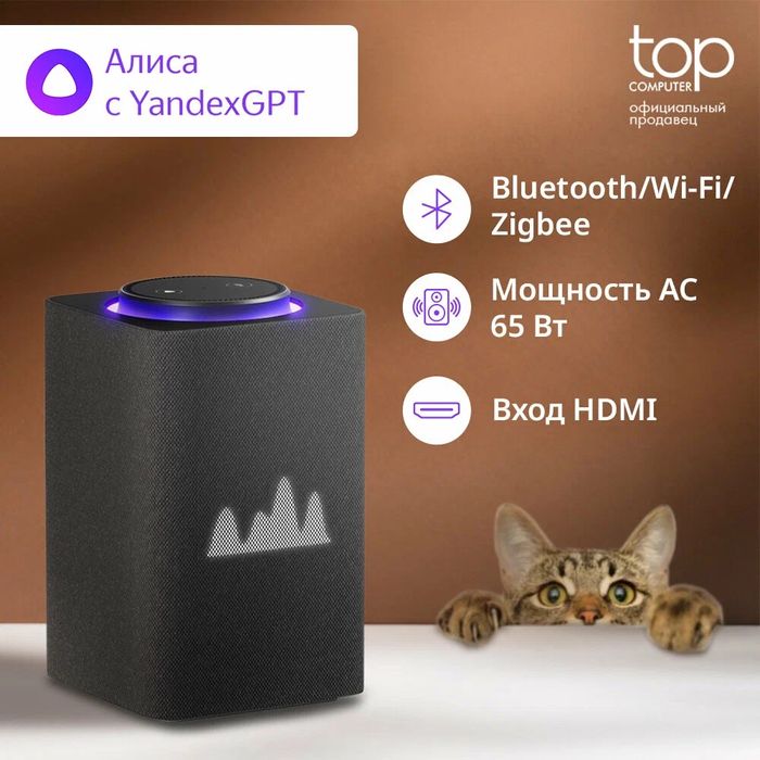 Alisa max Zigbee