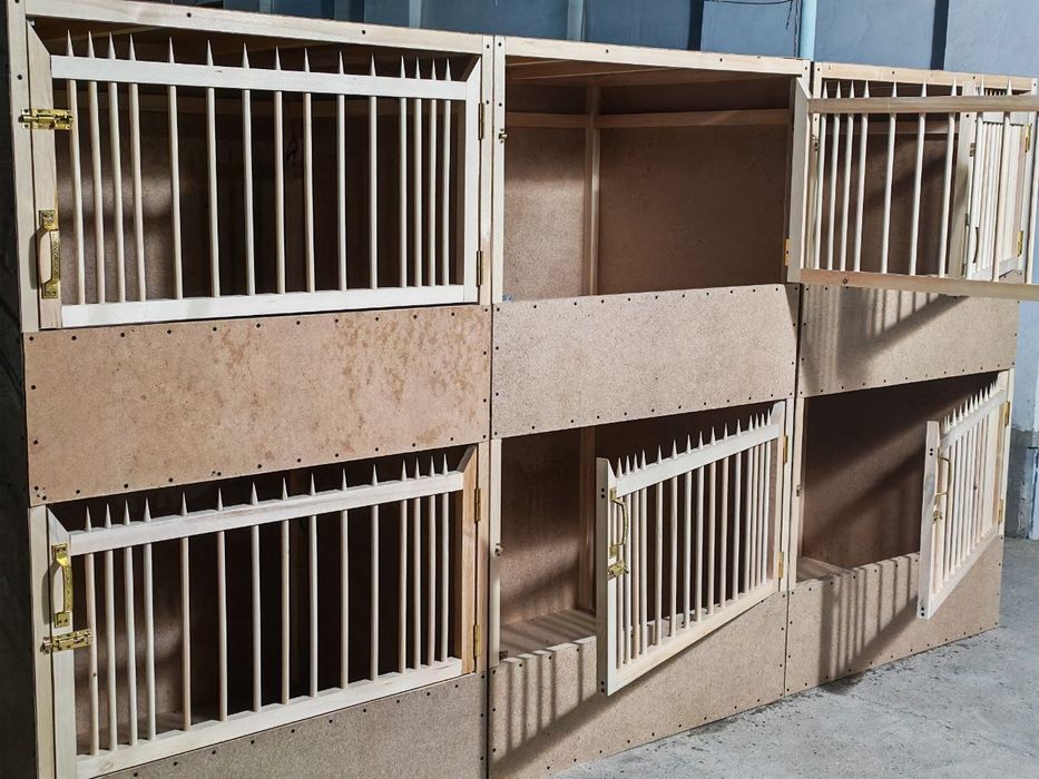 Dakan XO'ROZ uchun kataklar sotiladi