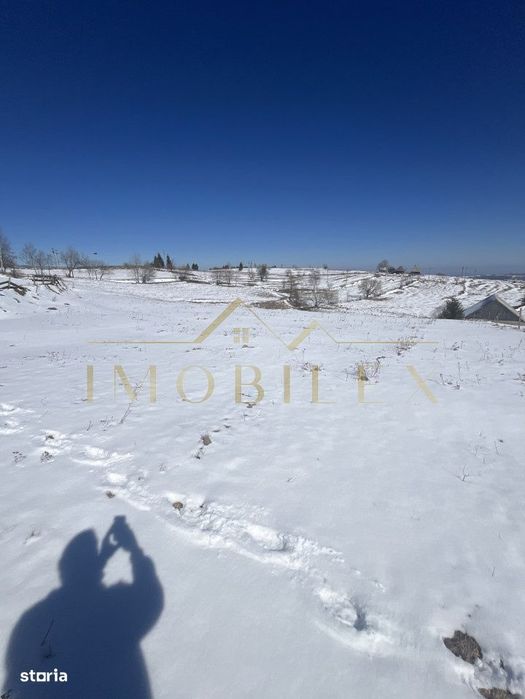 Teren in Marisel 5000 mp