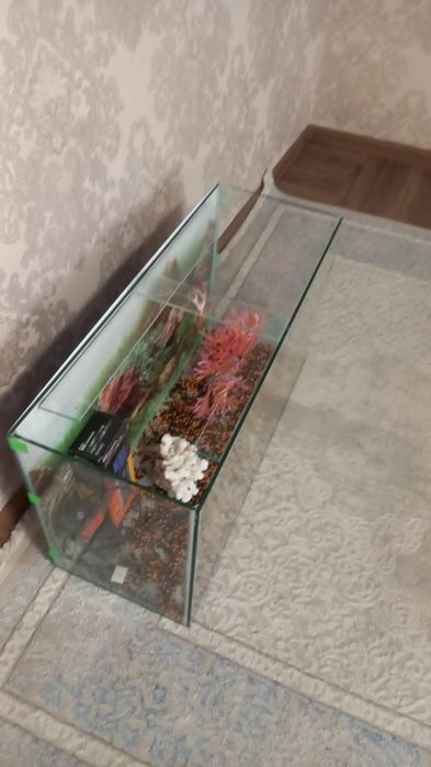 Аквариум .15.   20.  30. 50.