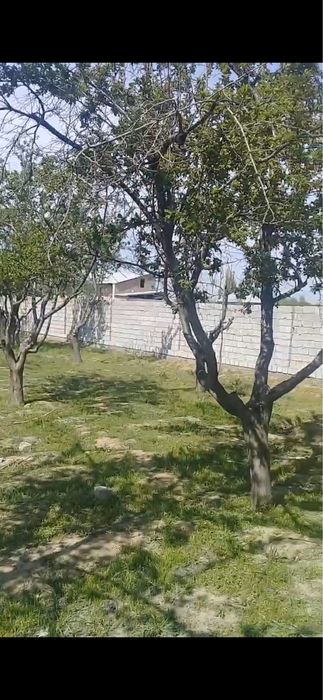 Yangiyo‘lda zo‘r joyda uchastka sotiladi!