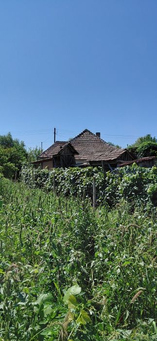 Casa de vânzare    Suplac