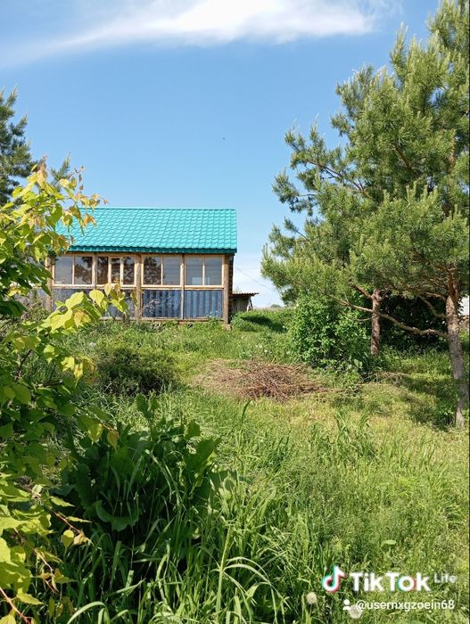 Продам мед разнотравие.