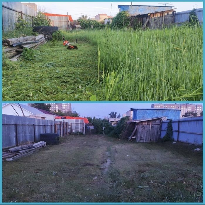 Покос травы, обрезка деревьев