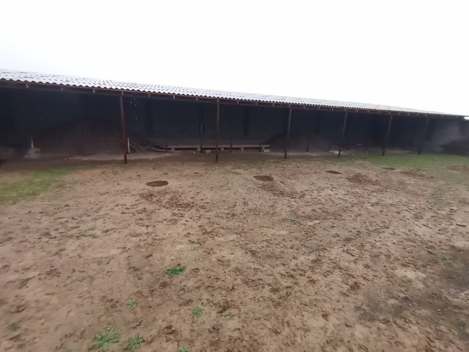 Пскент Тумани, Дачный посёлокда  12 сотик