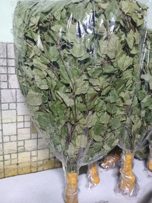 Веники для бани Берёза