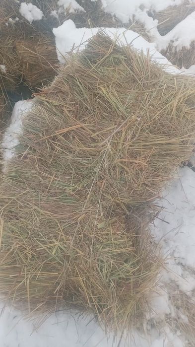 300 пресс шоп сатылады 1200 тенгеден