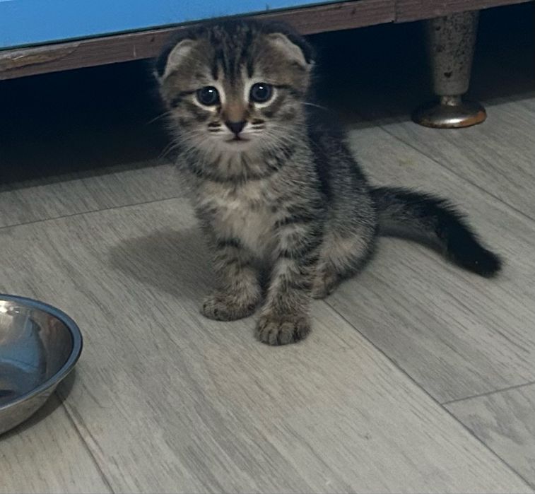 Пишите на ватцап мальчик и девочка