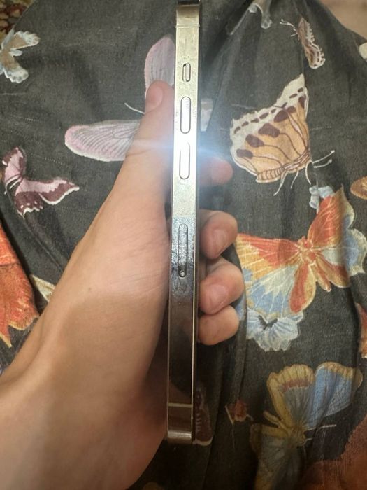 IPhone 14 pro silver