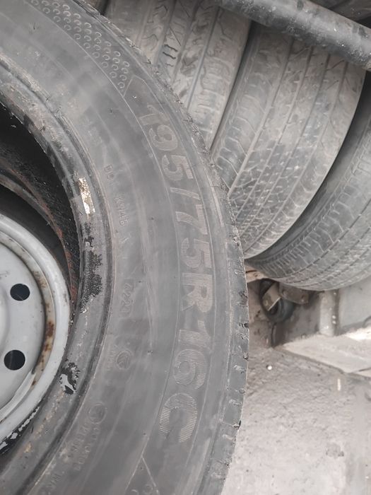 Gazelga balonlar bor xolati zor aybi yoq