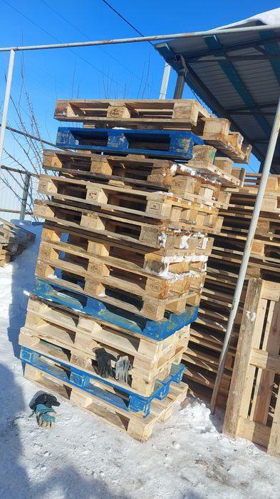 Продам поддоны паллеты