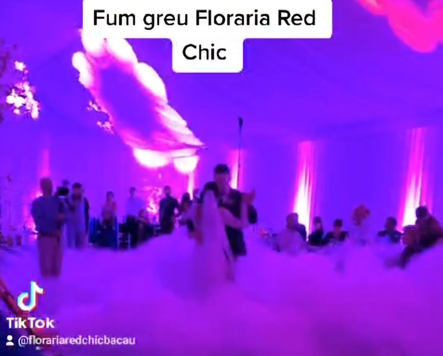 Fum greu dansul mirilor 600 lei