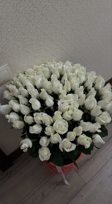 101 шт 20 мын тнг алып кетсениздер