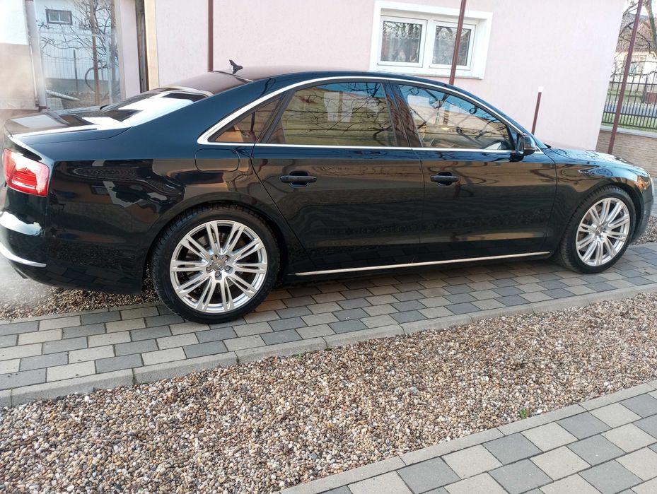 Polish auto -camioane ...