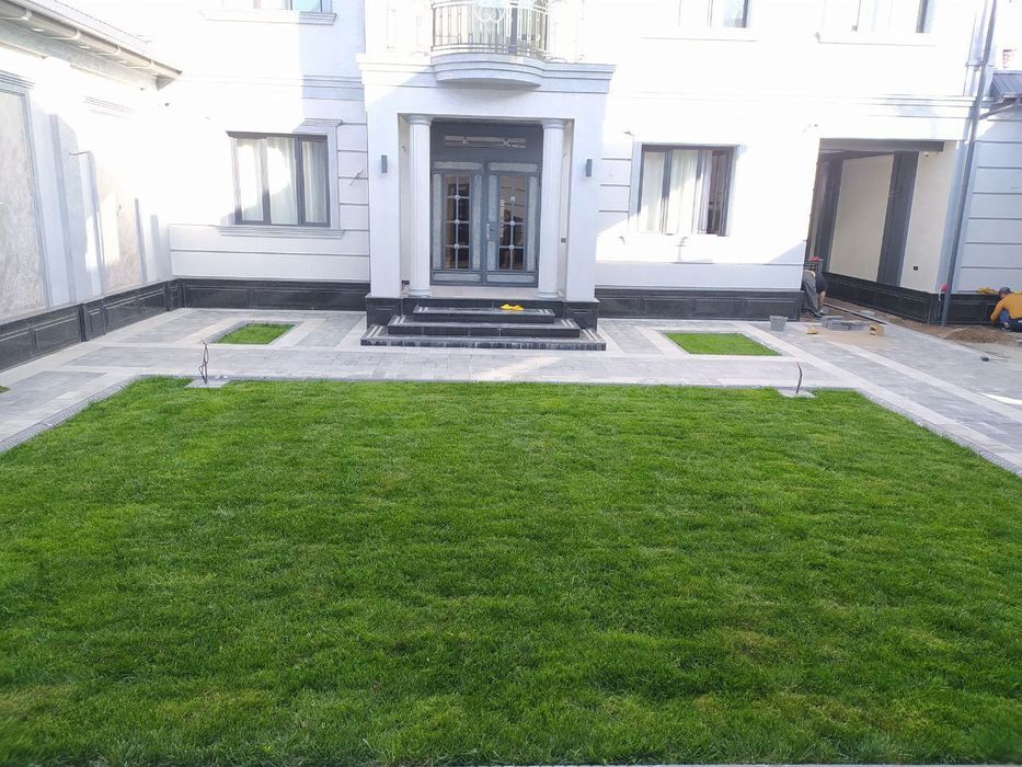 Газон посевной газон рулонный