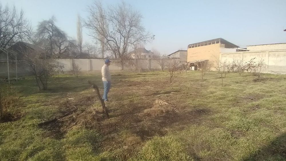 Hovli 16 sotix krestikda joylashgan