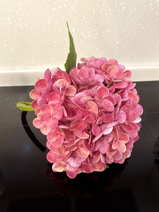 Гортензия интерьерная в вазе