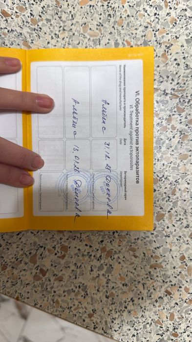 Щенок Добермана,4-5 месяца