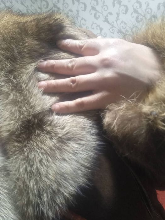 Пальто женское дублёнка