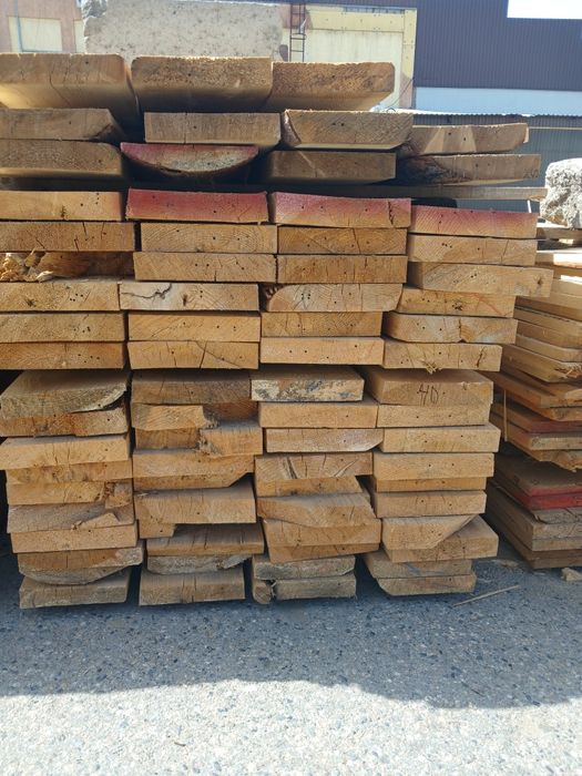 Лиственница листвяк