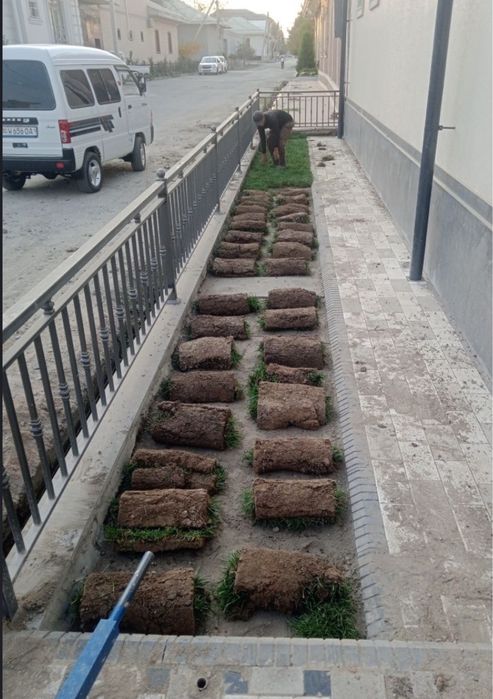 Рулон газон оптом Самарканд