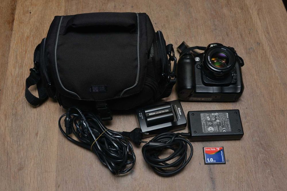 Nikon d100, senzor CCD