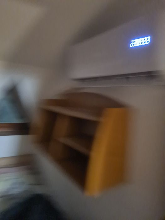 Легло в стая в Ямбол