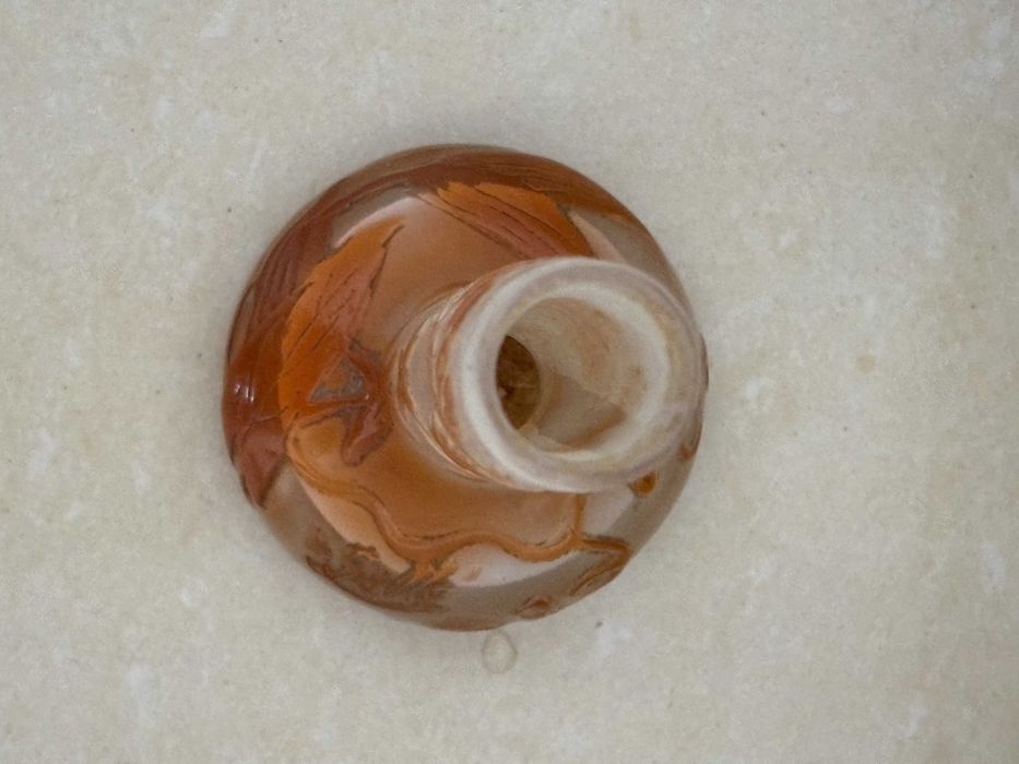 Vaza uniflora Gallle