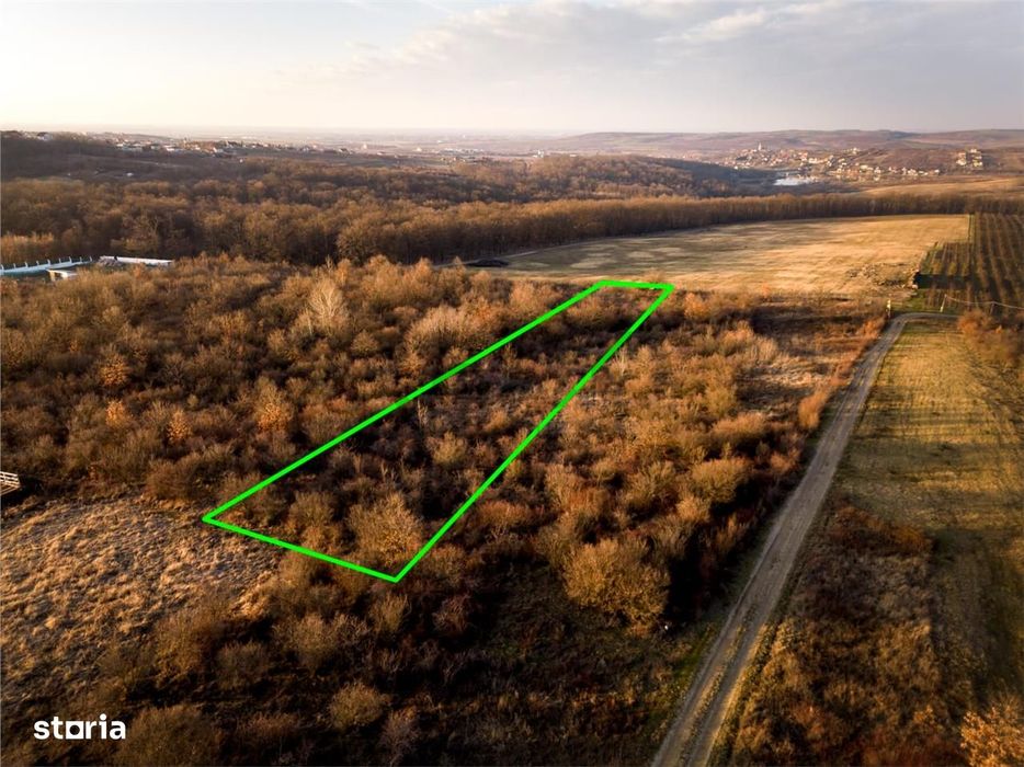 Reco Teren intravilan in Saldabagiu de munte 4333MP