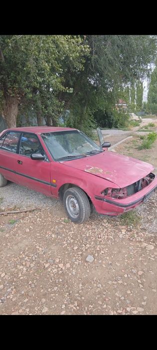 Карина 2 1988г.в. казах учет