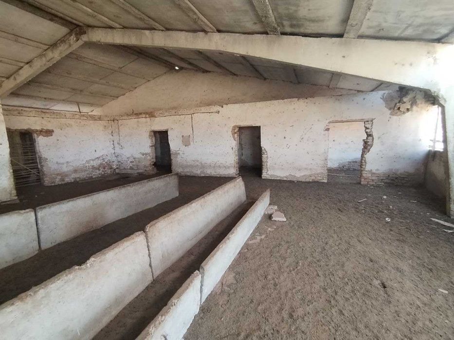 Мал ферма сатылады, яки арендага бериледи