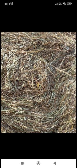 Baloti: Lucerna /Paie/Miriste/Fan.