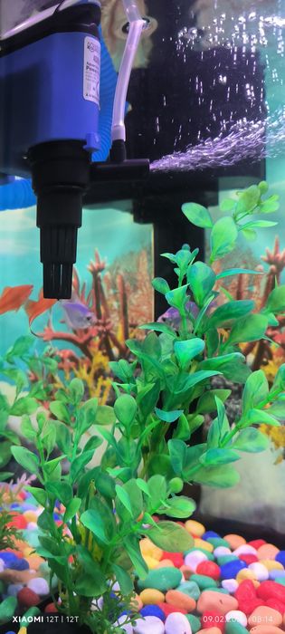 Аквариум в полном комплекте с рыбками