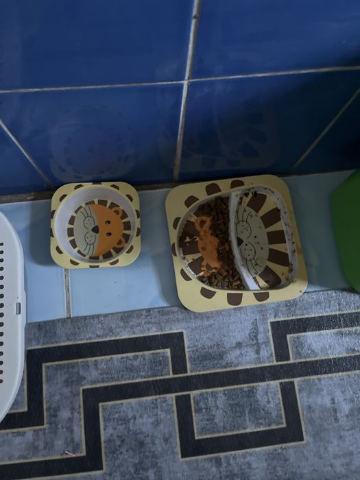 домик для котов новый