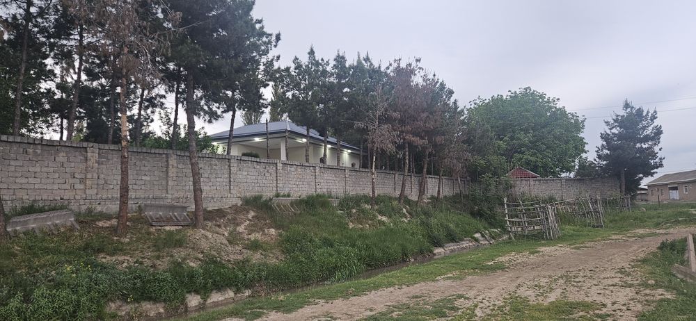 Катта сувни буйида дала ховли ва мини ферма сотилади.